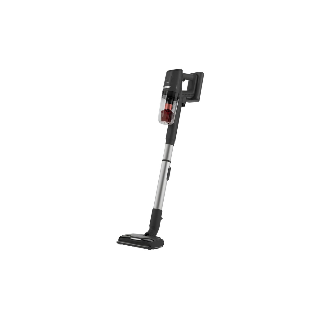 Electrolux EP81ABGF, kabelloser Staubsauger
